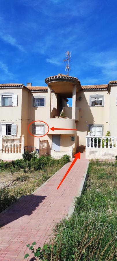 Zeus Beach La Mata Torrevieja Eksteriør bilde